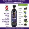 Immunia 67 Polyphenols - Elderberry Concentrate & Antioxidant Fruits. Premium Antioxidant Supplement with 67 Polyphenols (Anthocyanins, Quercetin, Resveratrol, etc.) 24-Day Supply per Bottle (3-Pack) view 3