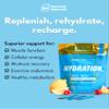 Essential Elements Hydration Packets - Blue Raspberry Pack - Sugar Free Electrolytes Powder Packets - 25 Stick Packs of Electrolytes Powder No Sugar - Hydration Drink - with ACV & Vitamin C view 3