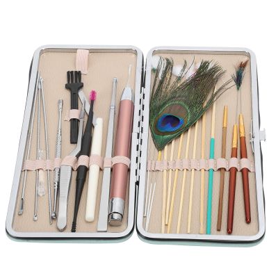23 Pcs Ear Wax Removal Kit, Lighted Ear Pick Double Ended Ear Scoop Spoon Tweezer Stainless Steel Ear Wax Removal Tools with Storage Box(Green)