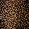 Goodland Farms Dark Chocolate Double Dipped Peanuts, 2 Pounds - Wholesale Bulk Candy, Dark Chocolate Covered Peanuts view 4