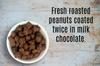 Goodland Farms Milk Chocolate Double Dipped Peanuts, 2 Pounds - Wholesale Bulk Candy, Chocolate Covered Peanuts view 2