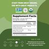 FGO Organic Japanese Matcha + Green Tea, 100 Count, Eco-Conscious Tea Bags, Resealable Bag, Packaging May Vary (Pack of 1) view 2