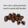 Goodland Farms Milk Chocolate Covered Raisins, 2 Pounds - Wholesale Bulk Candy, Milk Chocolate Raisins view 3