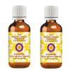 Deve Herbes Pure Kashmir Lavender Essential Oil (Lavandula angustifolia) Steam Distilled (Pack of Two) 100ml X 2 (6.76 oz) view 1