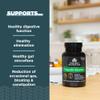 Ancient Nutrition Digestive Enzymes, Supports Gut Health, Promotes Healthy Digestive Function, 90 Ct view 3