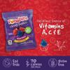 Funables Fruity Snacks, Mixed Berry Flavored Snacks, 0.8 oz 22 ct view 4