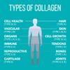 NaturesPlus Collagen Peptides - 0.65 lbs Powder, Pack of 2 - Hair, Skin, Nail & Joint Health, Immune System Support - Non-GMO, Gluten Free - Up to 56 Total Servings view 4