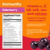 Hydrant - Immunity Electrolyte Powder, Elderberry Flavor, 30 Instant Rehydration Stick Packs - Electroyte Blend with Vitamin C, Vitamin D, and Zinc for Immune Support view 2