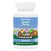 NaturesPlus Animal Parade Tooth Fairy Children's Chewables - Natural Vanilla Flavor - 90 Animal-Shaped Tablets, Pack of 2 - Dental Health Supplement - Vegetarian, Gluten Free - 90 Total Servings view 1
