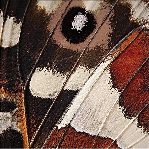 Baxters Party Bundle Luxury Napkins Bulk Butterfly Luncheon 3 Ply, 192 Napkins