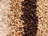 American IPA 5 gallon Advanced All Grains Ingredient Recipe Kit view 3