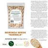 1 lb Moringa Seeds KERNEL Shelled Clean 100% Natural, Raw Superfood Nutritional, Rich in Vitamins, Edible Seeds, Protein, Minerals, Potassium. (APX 1550-1700 Kernels) view 2
