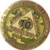 10 Month AA Medallion Reflex Camo Gold Plated Camouflage Color Chip view 3