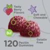 Viteey Kids Multivitamin Gummies with Probiotics - 8-1 Kids Vitamins for Immune Health Support with Vitamin C, D3, B12, B6, Zinc, Elderberry, Selenium - Vegetarian - Chewable Tasty Berry Flavored view 3