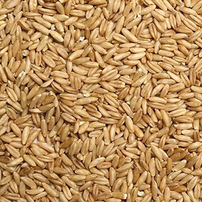 Jojo's Certified Organic Non-GMO Whole Uncut Hulled Oat Groats 5 lbs Bulk Food Grains Good Source of Fiber 100% Product of USA