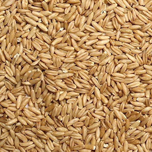 Jojo's Certified Organic Non-GMO Whole Uncut Hulled Oat Groats 5 lbs Bulk Food Grains Good Source of Fiber 100% Product of USA