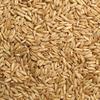 Jojo's Certified Organic Non-GMO Whole Uncut Hulled Oat Groats 5 lbs Bulk Food Grains Good Source of Fiber 100% Product of USA view 1