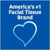 Kleenex Trusted Care Facial Tissues - 190 ct view 3