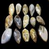400 Carat Fossil Snail Druzy Agate Fancy Gemstone, Raw Crystals Gemstone, Jewelry Making Supplies, Chakra Healing, Energy Stone, Reiki, Yoga, Meditation, Art-Crafts-DIY Stone view 2