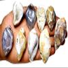 400 Carat Fossil Snail Druzy Agate Fancy Gemstone, Raw Crystals Gemstone, Jewelry Making Supplies, Chakra Healing, Energy Stone, Reiki, Yoga, Meditation, Art-Crafts-DIY Stone view 4