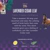 Caldrea Dish Soap, Biodegradable Dishwashing Liquid made with Soap Bark and Aloe Vera, Lavender Cedar Leaf, 16 oz , 3 Pack view 4