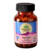 Zeeke Organic India Amalaki - 60 N Veg Capsules view 1