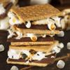 Ziyad Gourmet Halal MINI Marshmallows, Pork-Free, Egg-Free, Dairy-Free, Gluten-Free, Perfect for Holidays and Smores! 8.80oz (Pack of 4) view 4
