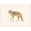 Earth Sky + Water - Coyote Notecard Set - 8 Blank Cards with Envelopes view 2
