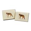 Earth Sky + Water - Coyote Notecard Set - 8 Blank Cards with Envelopes view 3