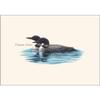 Earth Sky + Water - Loon Pair Notecard Set - 8 Blank Cards with Envelopes view 2