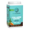 Vegan Collagen Protein Powder for Women Silica Plant Based Collagen Powder Chocolate Flavor Vegan Hair Skin and Nails Vitamins Non-GMO No Added Sugar Soy Dairy & Gluten Free (Chocolate, 40 Servings) view 1
