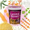 Aahana's Lentil Bowl - Masala - Vegan Food, Gluten Free Meals, Kosher, Non-GMO, Plant-Based, Meals Ready To Eat Indian Food & Vegetarian Food | Just Add Water, No Refrigeration (8 Pack) view 3