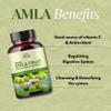 Amla Capsules (Phyllanthus Emblica)  Amalaki amla 120 Capsules | Natural Antioxidants Superfood | Herbal Supplement Made with Organic Amla Fruit Powder view 4
