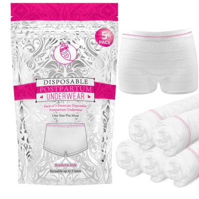 Ninja Mama Disposable Postpartum Underwear (Without Pad) with Storage Pouch. Washable Mesh Panties for Women (5 Count). Labor and Delivery Maternity Surgical and C Section Hospital Bag - One Size