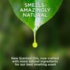 Air Wick Plug in Scented Oil Refill, 2 ct, Fresh Peach and Sweet Nectar, Air Freshener, Essential Oils, Spring Collection view 3