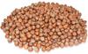 Anna and Sarah Large Oregon Hazelnuts in Shell (2.5 Lbs) view 1