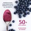 Numami Wild Blueberry Powder Organic, USDA Certified, for Smoothies, Baking and Flavoring, Rich in Antioxidants, Organic Blueberries are Handpicked from Nordic Forests and Freeze Dried view 3