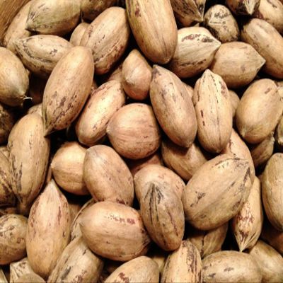Texas Pecans Whole With Shell Fresh Crop Easy To Crack Candy Pie Choctaw by Border Merchant (9)