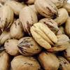 Texas Pecans Whole With Shell Fresh Crop Easy To Crack Candy Pie Choctaw by Border Merchant (9) view 2