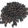 Juniper Berries - 12.8 Ounce (362.9 Grams) Plastic Bag - KOSHER view 1