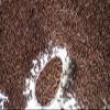 100% NATURAL CHOCOLATE SPRINKLES. Gluten Free. Dairy Free. Egg Free. Soy Free. Nuts Free. Vegan. HKC. Lactose Free. Bulk- 1.5 LBS. Resealable Container. Bulk Candy. Decorating Sprinkles. Baking. view 3