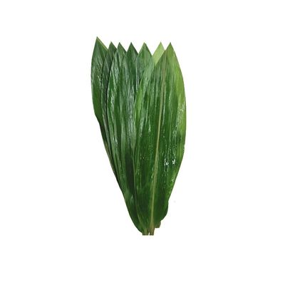 100 Small Fresh Sheets Vacuum Packed Bamboo LeavesNatural Wild Bamboo Leaf for Japanese Sushi Cuisine Grilled Meat Tableware Decoration Materials - S