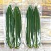 100 Small Fresh Sheets Vacuum Packed Bamboo LeavesNatural Wild Bamboo Leaf for Japanese Sushi Cuisine Grilled Meat Tableware Decoration Materials - S view 3