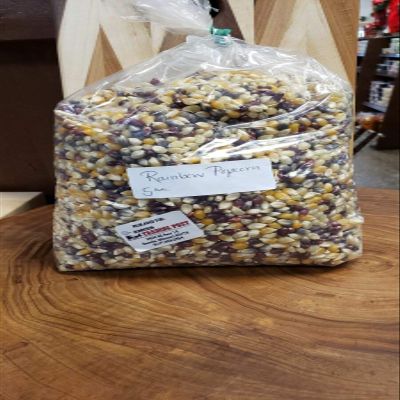 Amish Rainbow Popcorn - 5lb