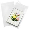 Cellophane Bags 13 7/16 x 24 1/4, Adhesive Seal 1.6 mil, 100 Pack view 1