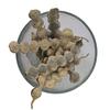 The Choice Vinayak Herbal Babul Phali Acacia Nilotica Ayurvedic Product with Multiple Benefits - 500 Gm view 1