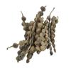 The Choice Vinayak Herbal Babul Phali Acacia Nilotica Ayurvedic Product with Multiple Benefits - 500 Gm view 2