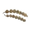 The Choice Vinayak Herbal Babul Phali Acacia Nilotica Ayurvedic Product with Multiple Benefits - 500 Gm view 3