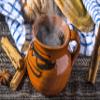 3.5oz Ceylon Cinnamon Sticks from Sri Lanka, True Cinnamon Stick, Canela Entera. view 4
