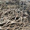 Shredded Cardboard (6LB) and (22LB) Boxes Loose Packaging Eco Friendly Void Filler Recycled Material (6 LB) view 4